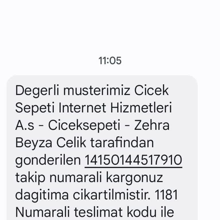 Sürat Kargo Ürünümü Adrese Getirmiyor