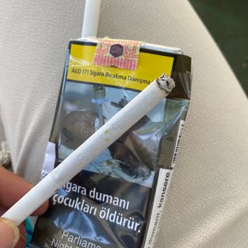 Parliament Sigarasında Yeşilimsi Lekeler Paket İçinde Sigara Dalında