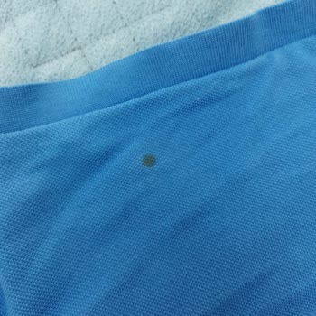 Siemens Çamaşır Mak. Pas Lekesi