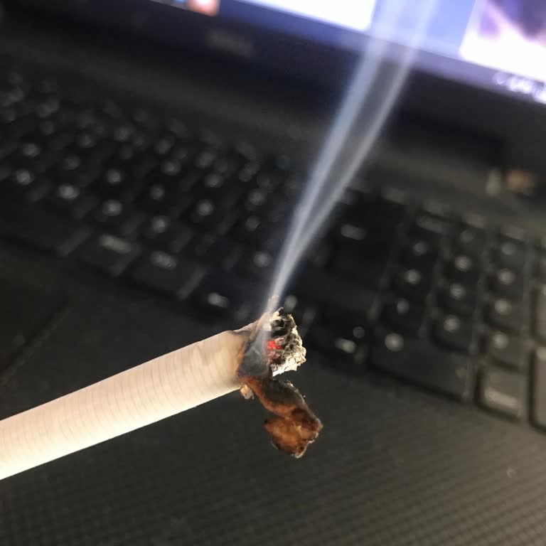 Marlboro İçinden Çıkan Odunlar