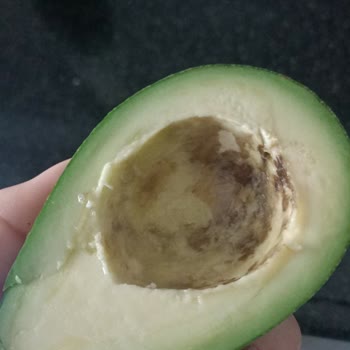 Migros'un Bozuk Avokadoları