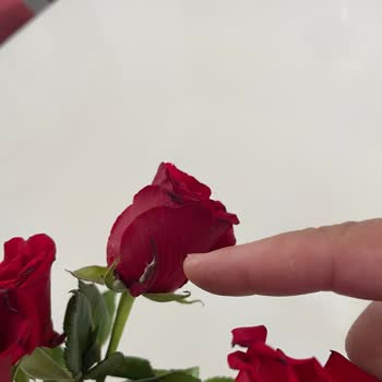 Çiçek Sepeti Ürünleri Kalitesiz Ve Gerçeği Yansıtmıyor