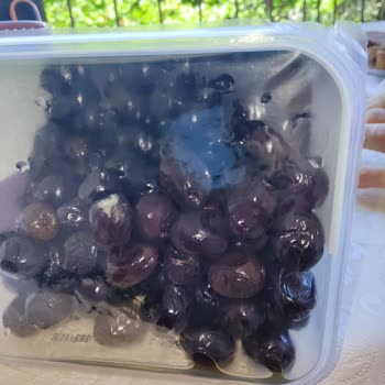 Küflü Zeytin Tukaş A101 Son Kullanım Tarihinden Önce Bozuk