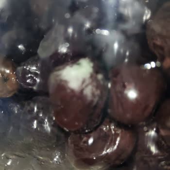 Küflü Zeytin Tukaş A101 Son Kullanım Tarihinden Önce Bozuk