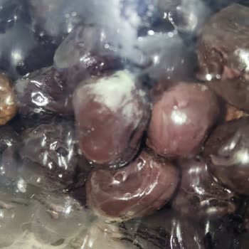 Küflü Zeytin Tukaş A101 Son Kullanım Tarihinden Önce Bozuk