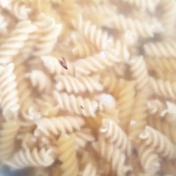 Mutlu Makarna Mutlu Yumurtalı Makarnadan Kurtçuk Çıktı