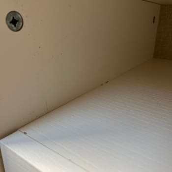 Kelebek Mobilya Hasarlı Ürün Eksik Ürün Sorunlu Kurulum