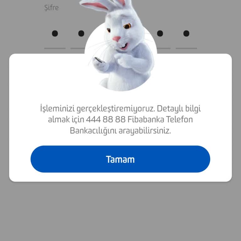 Fibabanka Kısıtlama Sorunu, Hesabıma Ulaşamıyorum