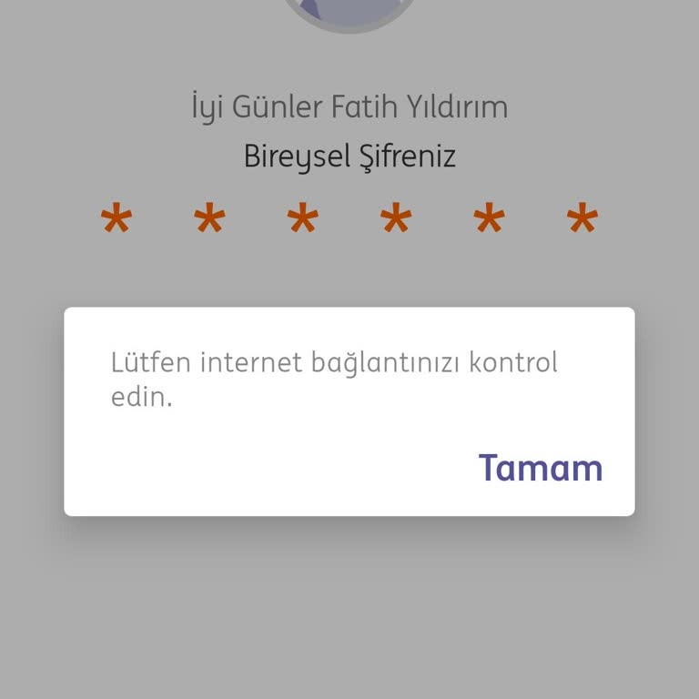 ING Mobil Uygulamaya Girilmiyor.