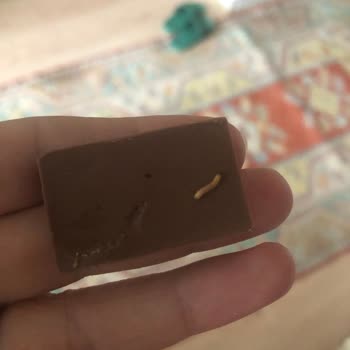 Eti Gıda Çikolatanın İçinden Kurt Çıkması