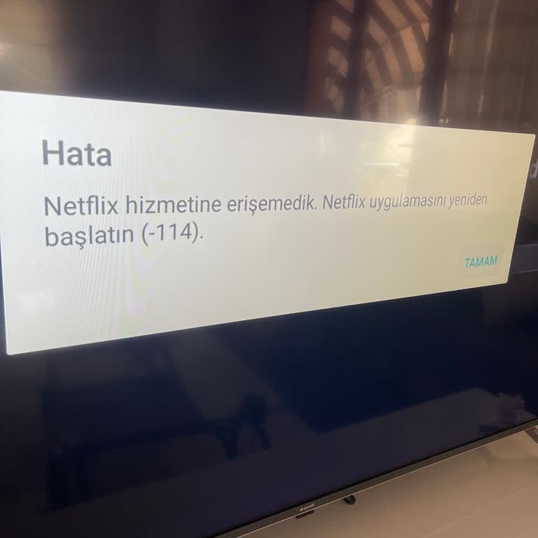 Netflix 114 Hata Kodu