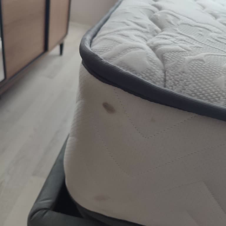 Yatakta Gürültü Sorunu: İstikbal Hayal Kırıklığı
