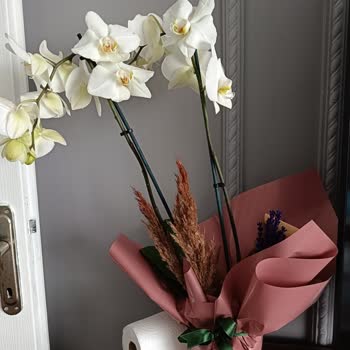 Çiçek Sepeti Yamuk Ve Kırık Çiçeği Değiştirmedi