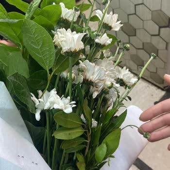 Çiçek Market Çürümüş Çiçek Teslim Ediyor!