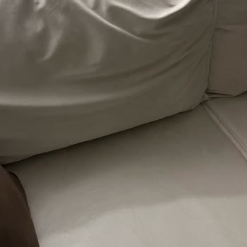 Weltew Home Koltuk Sandalye Masa Hepsi Problemli Ama İlgilenen Yok