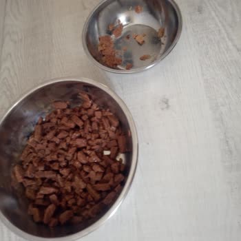 Migros Whiskas Yaş Mama Sorunu