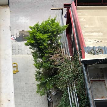 Mersin Yenişehir Belediyesi Cafelerin Çevreye Verdiği Rahatsızlık