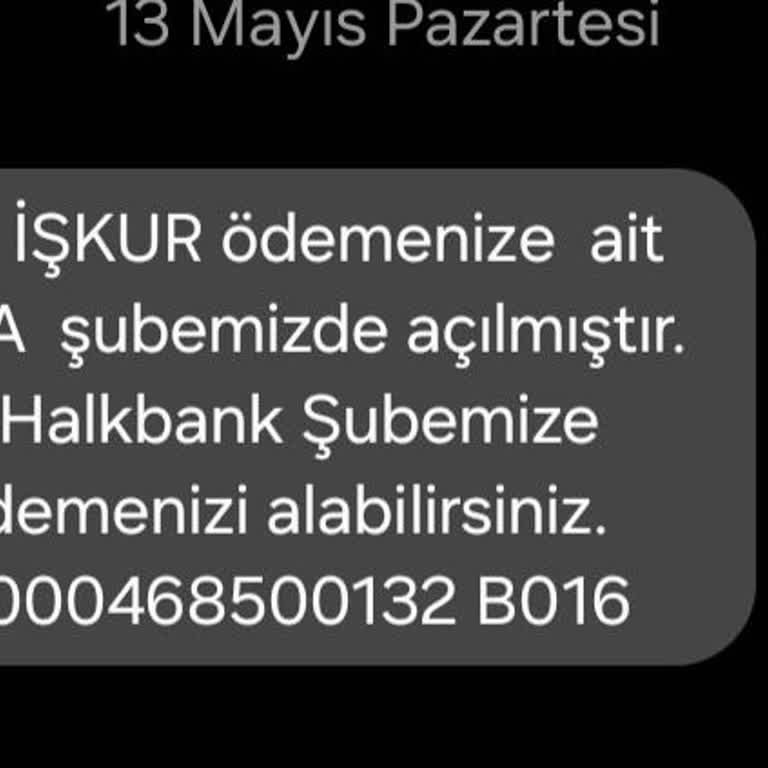 Halkbank İŞKUR Üzerinden Maaş Çekme Zorluğu Ve Banka Erişim Sıkıntısı