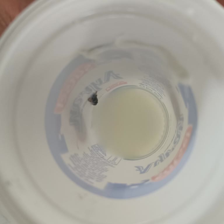 Sütsel Ayranımızda Uygunsuz Misafir!