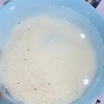 Anadolu Mutfağı Osmancık Pirinç İçinden Çıkanlar