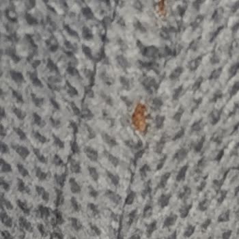 Enza Home Hasarlı Ürün Teslimat Yapmıştır