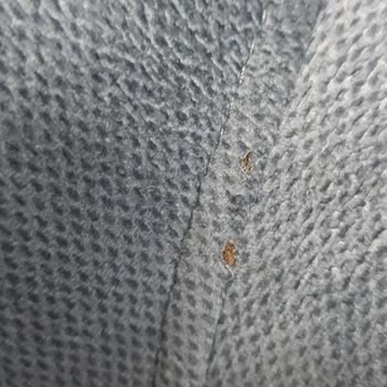 Enza Home Hasarlı Ürün Teslimat Yapmıştır