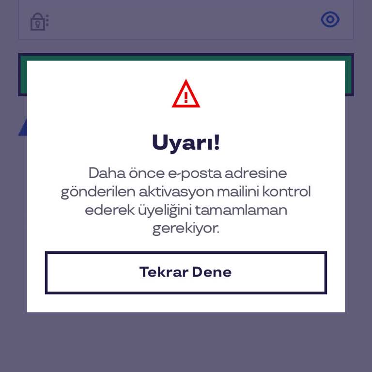 Pluxee Türkiye Hesabımızın Mailini Değiştiremiyorum!
