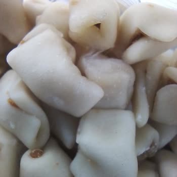 Soyer Mantı Küflendi