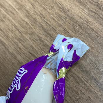 Kent Şekerleri Kent Şekerden Böcek Çıktı