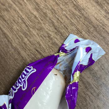 Kent Şekerleri Kent Şekerden Böcek Çıktı