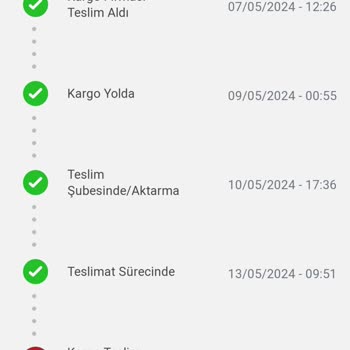 Borusan Lojistik Bir Türlü Gelmeyen Kargo