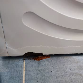 Bosch Çamaşır Makinesi Paslanması