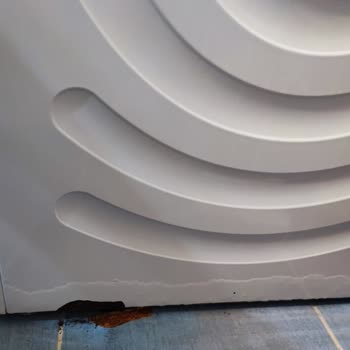 Bosch Çamaşır Makinesi Paslanması