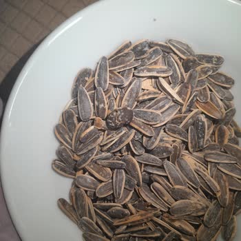 Amigo Şok Market Tuzsuz Çekirdek Şaşkınlığı