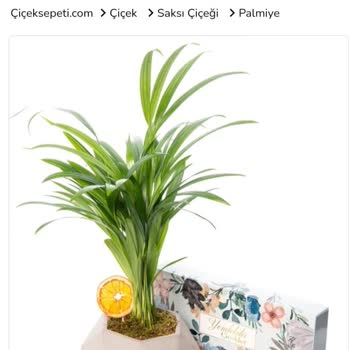 Çiçek Sepeti Eksik Sipariş