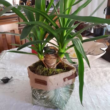 Çiçek Sepeti Eksik Sipariş