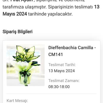 Çiçek Market Aynı Gün Teslimat Hayal Kırıklığı