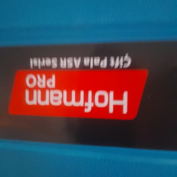 Assur Akulu Ağaç Testeresi