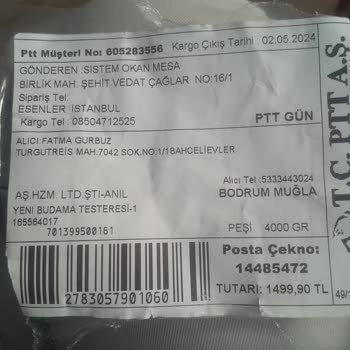 Assur Akulu Ağaç Testeresi