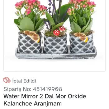 Osevio.com Her Siparişimde Sorun Yaşadım