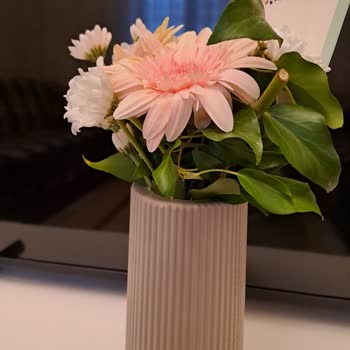 Çiçek Sepeti Pişmanlığı