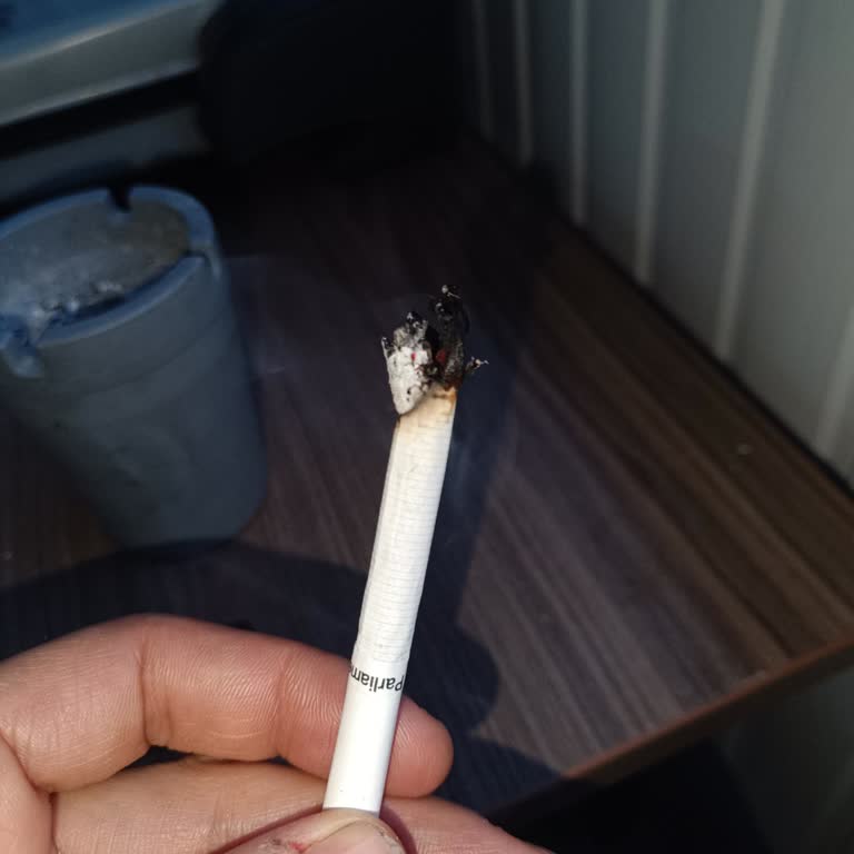 Parliament Sigara Kalitesizliği