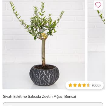 ÇiçekSepeti Hatalı Ürün Geldi.