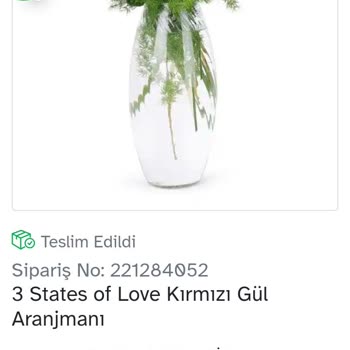 Osevio.com Oseviyo Çiçek Anneler Günü