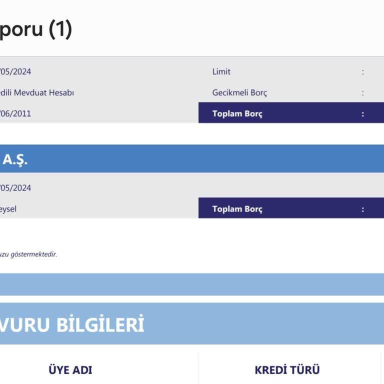 Birikim Varlık Yönetim Borcu Sistemden Kaldırmıyorlar