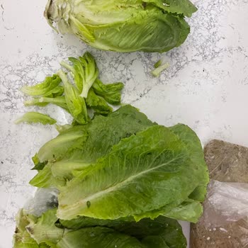 Migros'tan Çöp Meyve Sebze