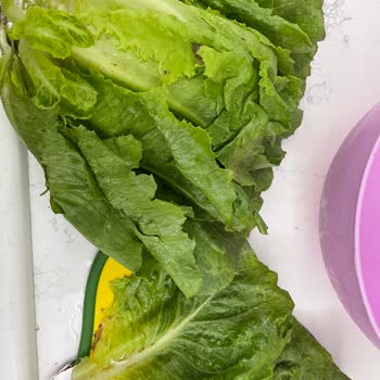 Migros'tan Çöp Meyve Sebze