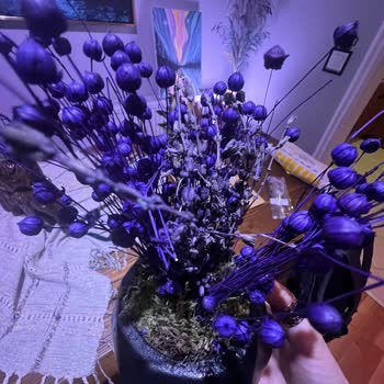 ÇiçekSepeti Kuru Çiçek Gönderimi