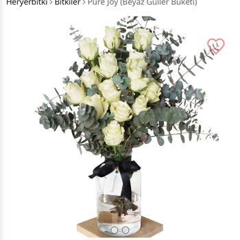 Heryerbitki İnsanlara Karşı Rezil Ettiniz Bizi