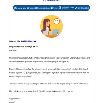 ÇiçekSepeti Hayal Kırıklığı Sepeti